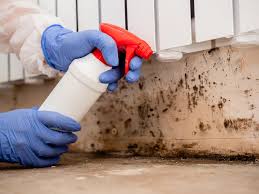 Mold Odor Removal Services